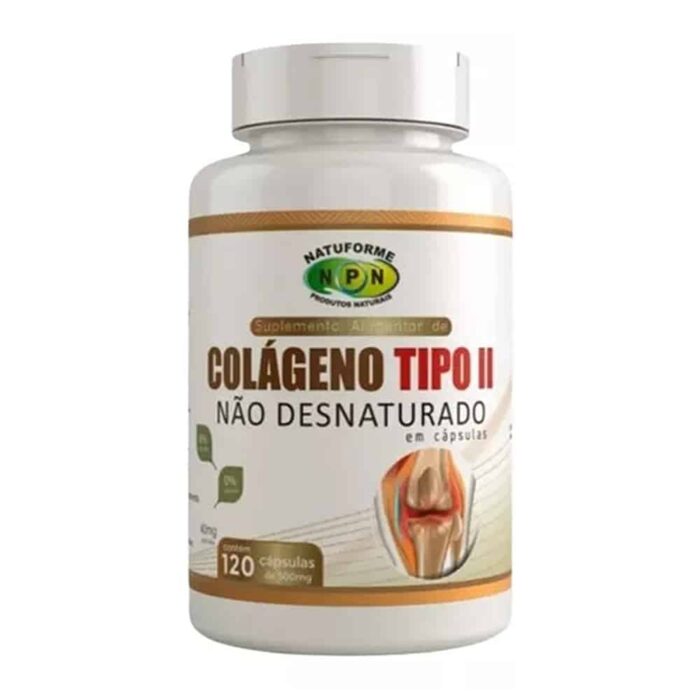 Colágeno Tipo 2 Não Desnaturado 40mg 120 Cápsulas