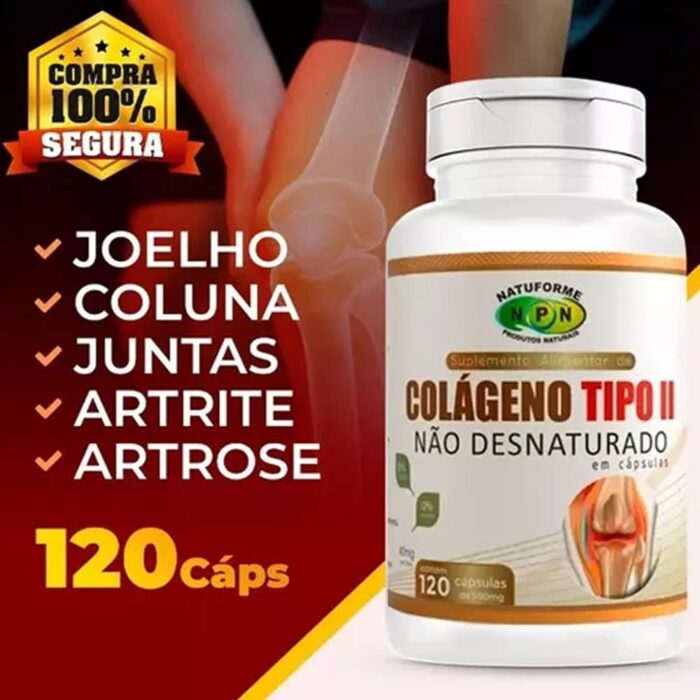 Colágeno Tipo 2 Não Desnaturado 40mg 120 Cápsulas - Image 2